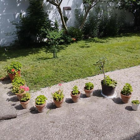 Hotel Paprika Vendeghaz Harkány Zewnętrze zdjęcie